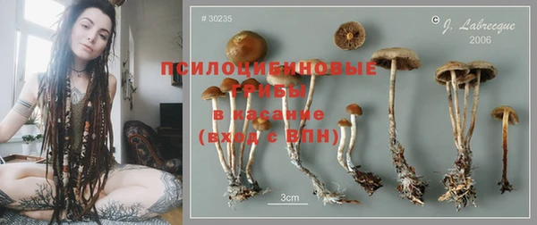 ECSTASY Алзамай