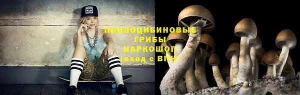 ECSTASY Алзамай