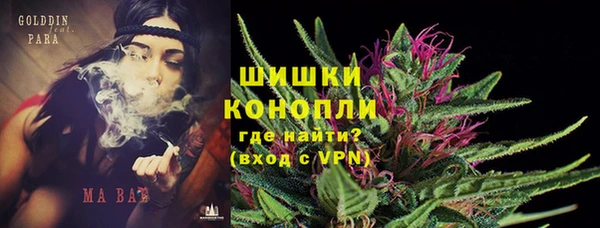 стафф Аркадак